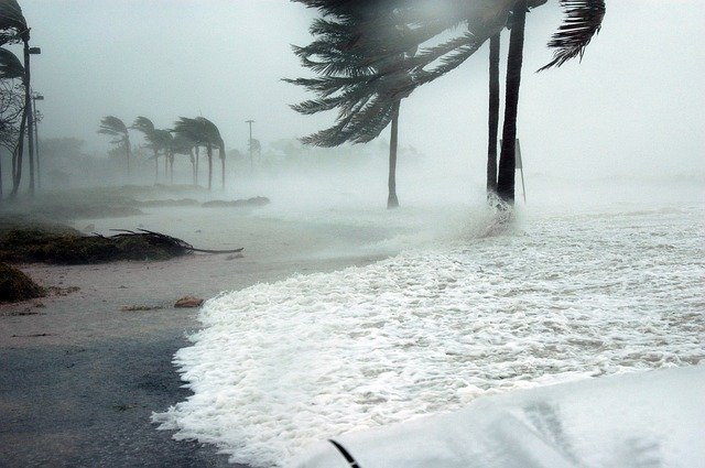 Storm preparation, home monitoring